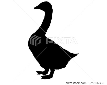 鴨剪影 75506330