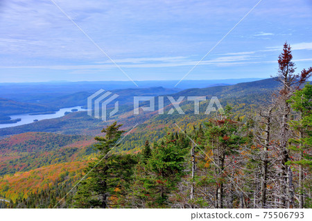 Autumn colors Laurentian Hills, Canada Autumn leaves Autumn colors Laurentian Hills, Canada Autumn leaves 75506793