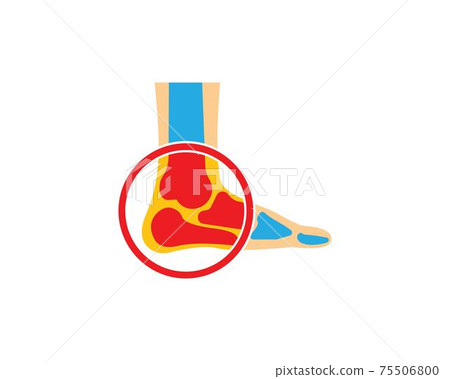 foot bone bone logo vector illustration 75506800
