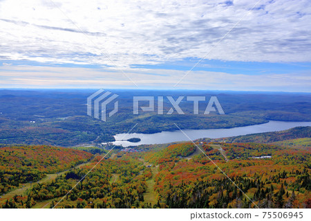 Autumn colors Laurentian Hills, Canada Autumn leaves 75506945