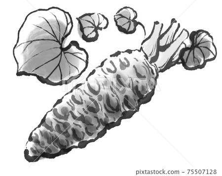 美味芥末3 75507128