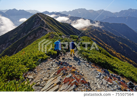 View of climbers and Minamimine, Tateyama, and Kendake going through the autumn-colored Jiigatake Nakamine 75507564