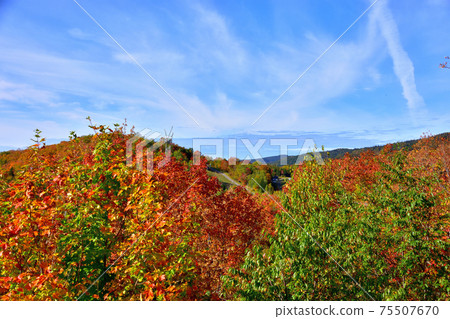 Autumn colors Laurentian Hills, Canada Autumn leaves Autumn colors Laurentian Hills, Canada Autumn leaves 75507670