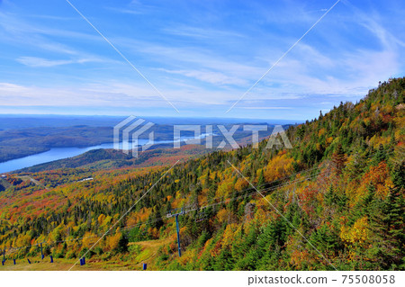 Autumn colors Laurentian Hills, Canada Autumn leaves Autumn colors Laurentian Hills, Canada Autumn leaves 75508058