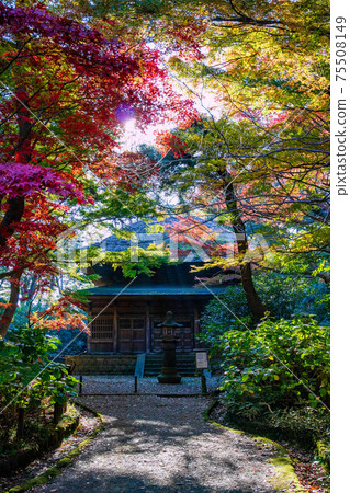 Autumn leaves in Sankeien Garden, Yokohama and the former Tokeiji Buddhist temple Autumn leaves in Sankeien Garden, Yokohama and the former Tokeiji Buddhist temple 75508149