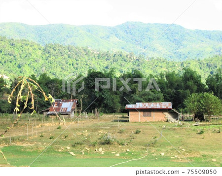 Scenery of a trekking tour in Vang Vieng, Laos. Scenery of a trekking tour in Vang Vieng, Laos. 75509050