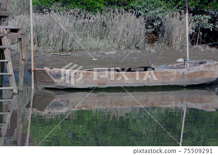 3 NOV 2007 the nature view Nam Sang Wai , Hong Kong. 75509291