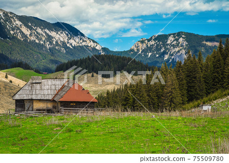 Old wooden hut on the forest glade, Transylvania, Romania 75509780