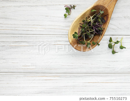 Heap of radish micro greens on white wooden background. Healthy eating concept. 75510273