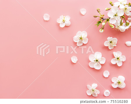 Colorful Easter eggs with spring blossom flowers 75510280