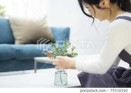 女性客廳 女性客廳 75510382