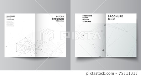 Vector layout of two A4 cover mockups templates for bifold brochure, flyer, magazine, cover design, book design. Gray technology background with connecting lines and dots. Network concept. 75511313