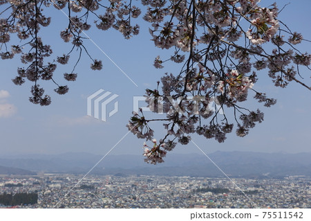 Whole view of Yonezawa City Onariyama Park Whole view of Yonezawa City Onariyama Park 75511542
