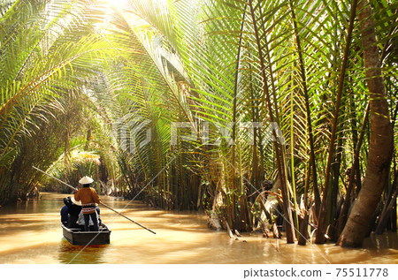 People boating in the delta of Mekong river, Vietnam People boating in the delta of Mekong river, Vietnam 75511778