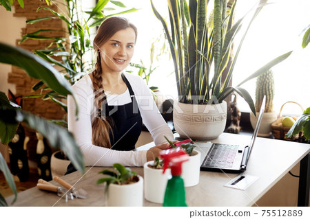 A florist girl uses a laptop while working at a flower shop and takes orders online. Small business, business online A florist girl uses a laptop while working at a flower shop and takes orders online. Small business, business online 75512889