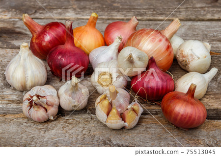 Fresh garlic and onion on a rustic wooden table 75513045