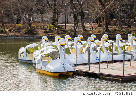 Rowing boat Rowing boat 75513981