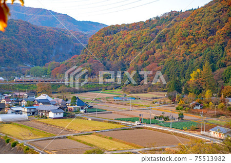 Autumn scenery under Akagimachi Tanashita Joetsu Line train passing Autumn scenery under Akagimachi Tanashita Joetsu Line train passing 75513982