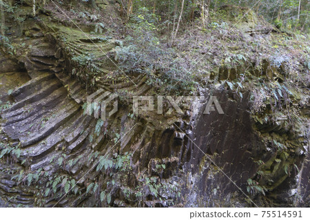宮崎縣高千穗峽。 75514591