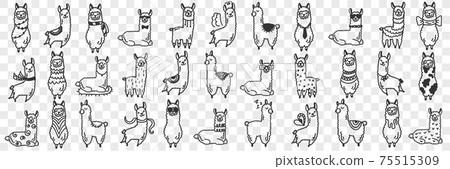 Funny alpacas animals doodle set Funny alpacas animals doodle set 75515309