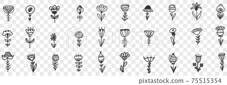 Natural flowers pattern doodle set 75515354