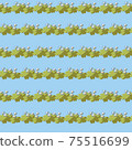 Persian speedwell 75516699