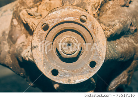 Front View Rear Differential Gearbox and Flange and Nut in Vintage Tone 75517110