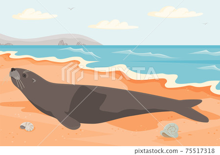 Representative of oceanic wildlife liying on coastline. Cute seal on sandy beach near ocean Representative of oceanic wildlife liying on coastline. Cute seal on sandy beach near ocean 75517318
