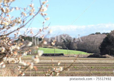 Moka Tetsudo "SL Mooka running in the scenery of early spring" Moka Tetsudo "SL Mooka running in the scenery of early spring" 75517492