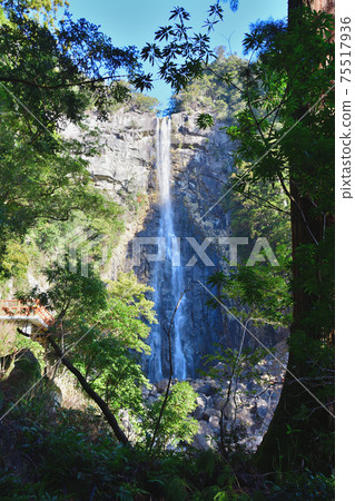 世界遺產那智瀑布 75517936