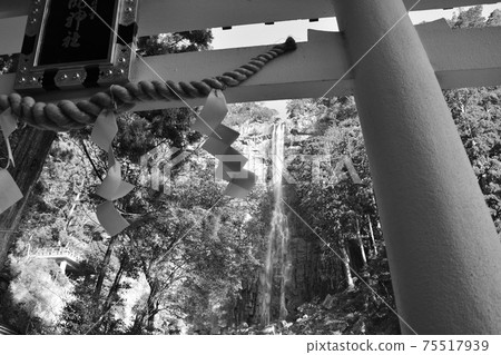 世界遺產那智瀑布 75517939