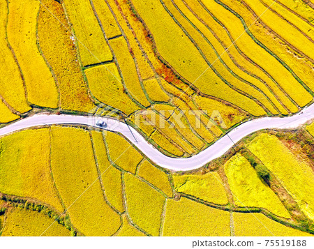 Rural areas 75519188
