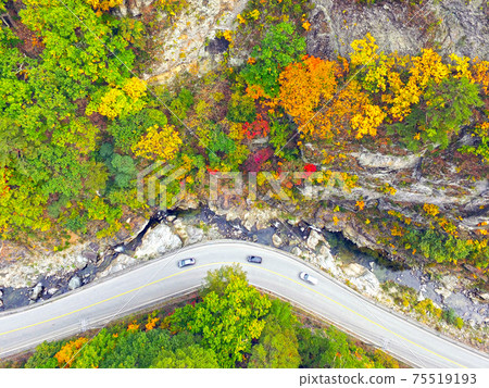 Donghal Valley 75519193