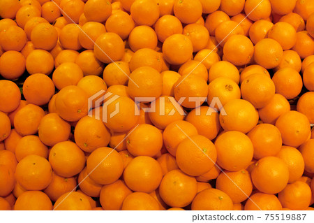 Orange Orange 75519887