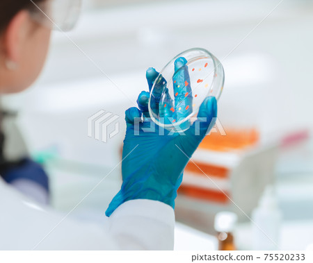 close up. female scientist with a Petri dish . 75520233