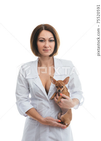 Sexually vet doctor woman on isolated white background with dog. Caucasian woman veterinarian medic with beautiful sexy bra. 75520591