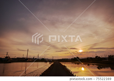 夕陽的天空和筆直的道路,反映在稻田上 夕陽的天空和筆直的道路,反映在稻田上 75522169