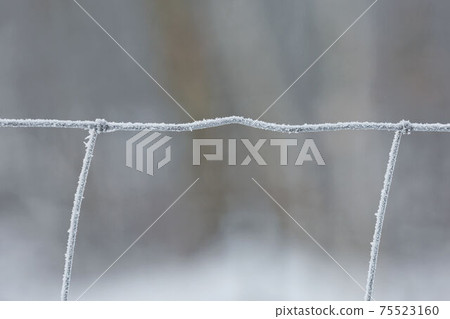 Frost on the iron grid macro. Beautiful winter concept background. Close-up of a frozen iron fence Frost on the iron grid macro. Beautiful winter concept background. Close-up of a frozen iron fence 75523160