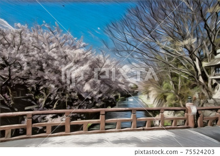 Cherry blossoms at Yawata moat Cherry blossoms at Yawata moat 75524203