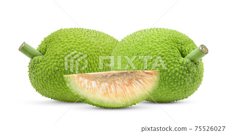 breadfruit on white background 75526027