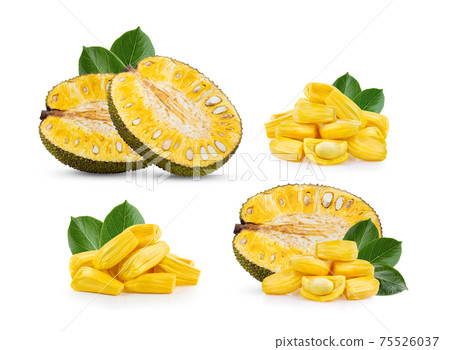 Jackfruit with leaf isolated on white 75526037