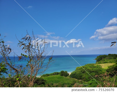 石垣島中央國道旁的風景 石垣島中央國道旁的風景 75526070