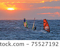 Sunset sailing 75527192