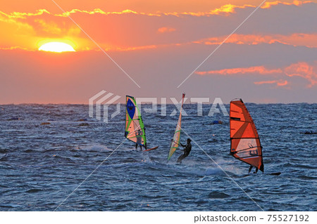 Sunset sailing 75527192