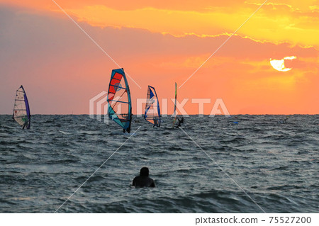 Sunset sailing 75527200