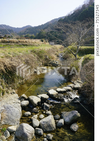 Asukaji Stepping stones spring 75527345