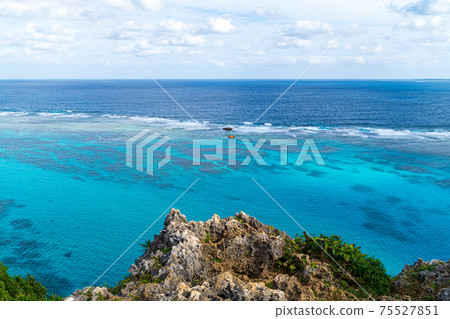 鬣鱗蜥Irabu島宮古島市 鬣鱗蜥Irabu島宮古島市 75527851