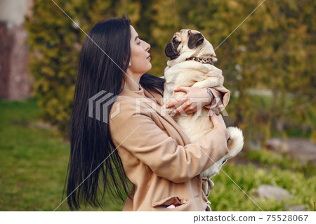 Brunette in a brown coat walks with pug Brunette in a brown coat walks with pug 75528067