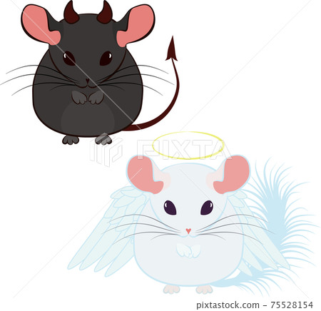 angel and devil, good and bad chinchilla isolated on white angel and devil, good and bad chinchilla isolated on white 75528154