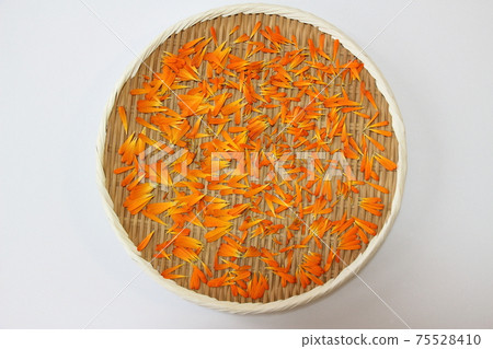 Calendula 75528410